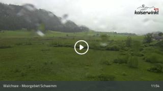 Moorgebiet Schwemm